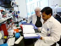 Scientists conducting basic science research in the Heart Institute.